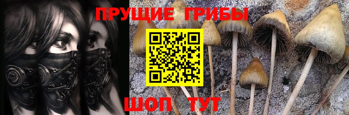 Кизляр  Псилоцибиновые грибы мицелий  Псилоцибиновые грибы GOLDEN TEACHER  Вход с VPN 